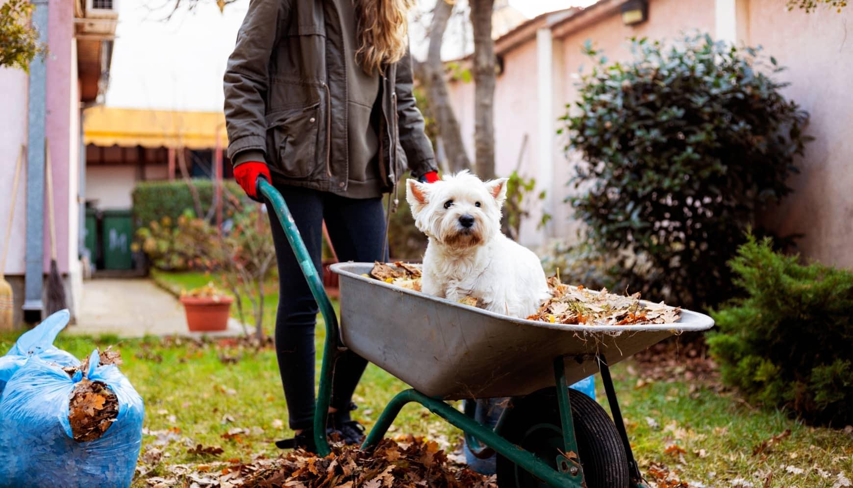 Can I pay for energy efficient renovations with my HELOC? | Guaranteed Rate Affinity